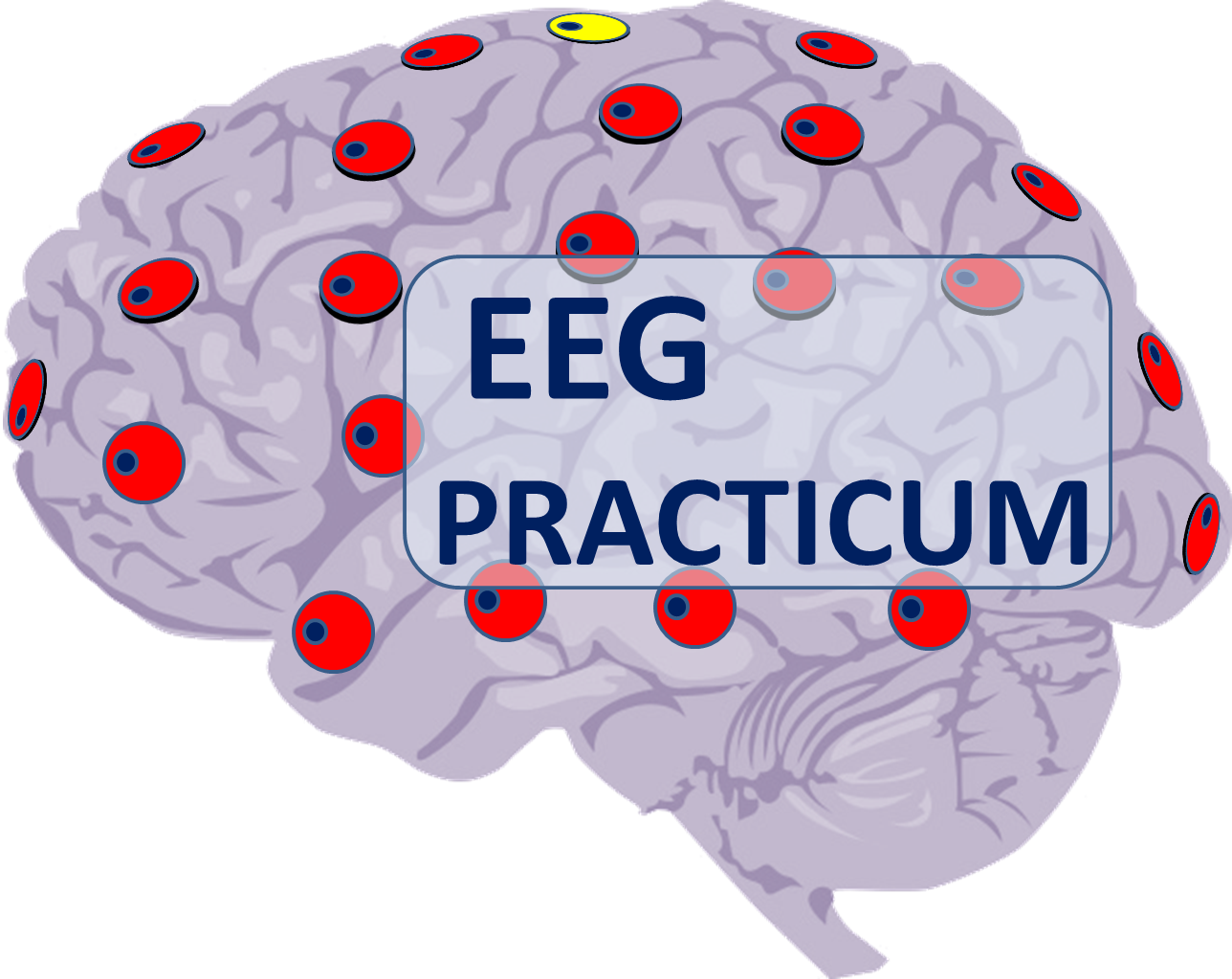 eeg-practicum_logo