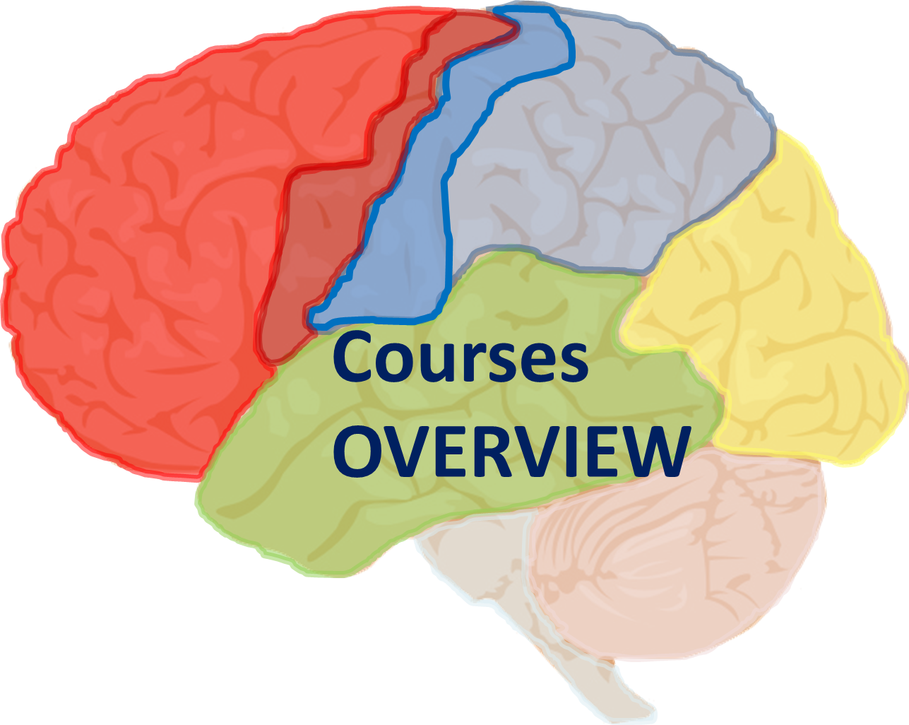courses_overview_logo